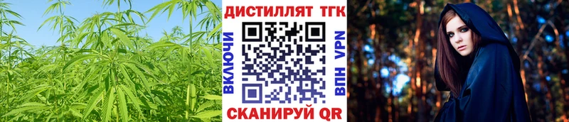 hydra ссылки  купить наркотики цена  Александровск  ТГК гашишное масло 