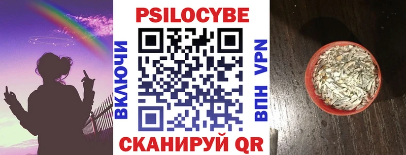 Псилоцибиновые грибы MAGIC MUSHROOMS Александровск