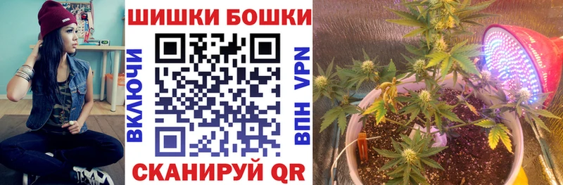 Бошки Шишки гибрид Александровск